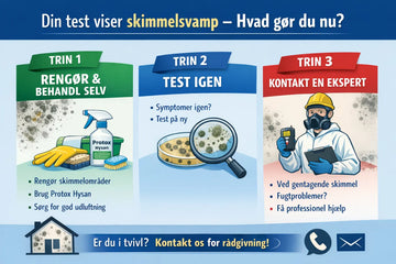 Din test viser skimmelsvamp – hvad gør du nu? MiljøLab ApS